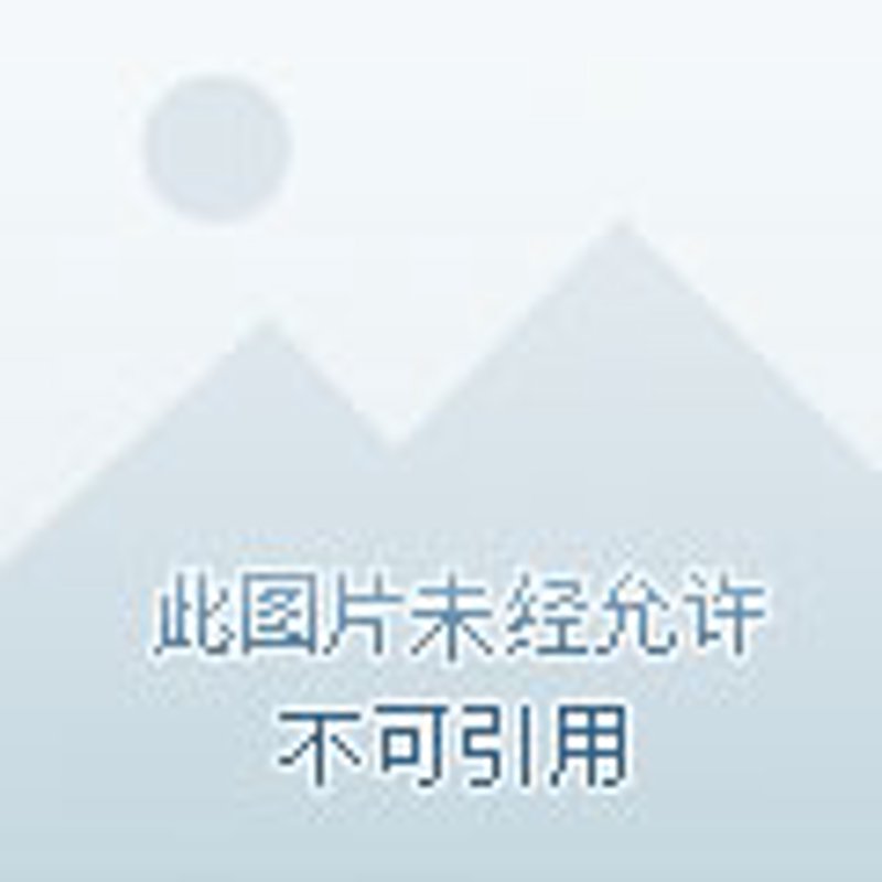 空港经济区美食：味蕾与航空的完美融合
